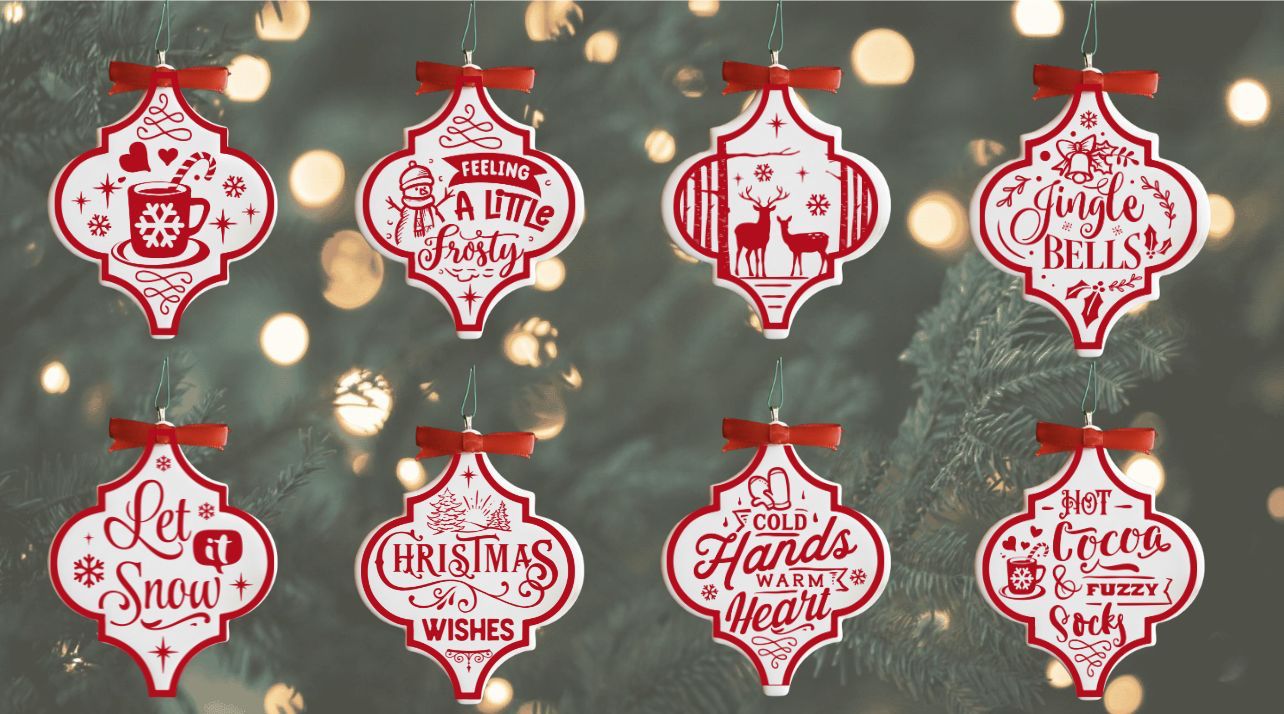 WhatsApp Image 2025-11-20 at 18.51.14 (4)